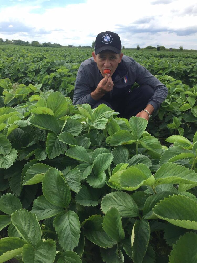 ���������� �����������, ���� ������� Vova, 45 ���, ������������ ��� ������, ����� � ���������