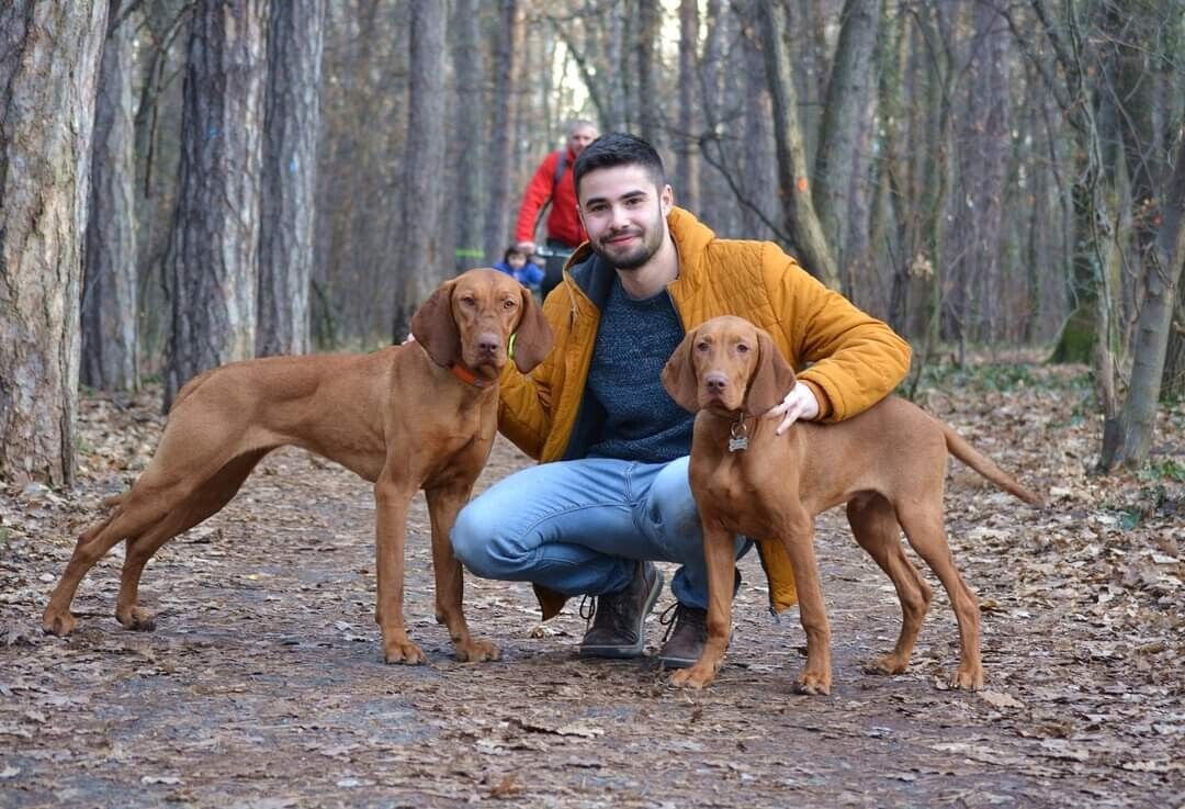 ���������� ����, ���� ������� ���������, 40 ���, ������������ ��� ������, ����� � ���������, c�������� ���������