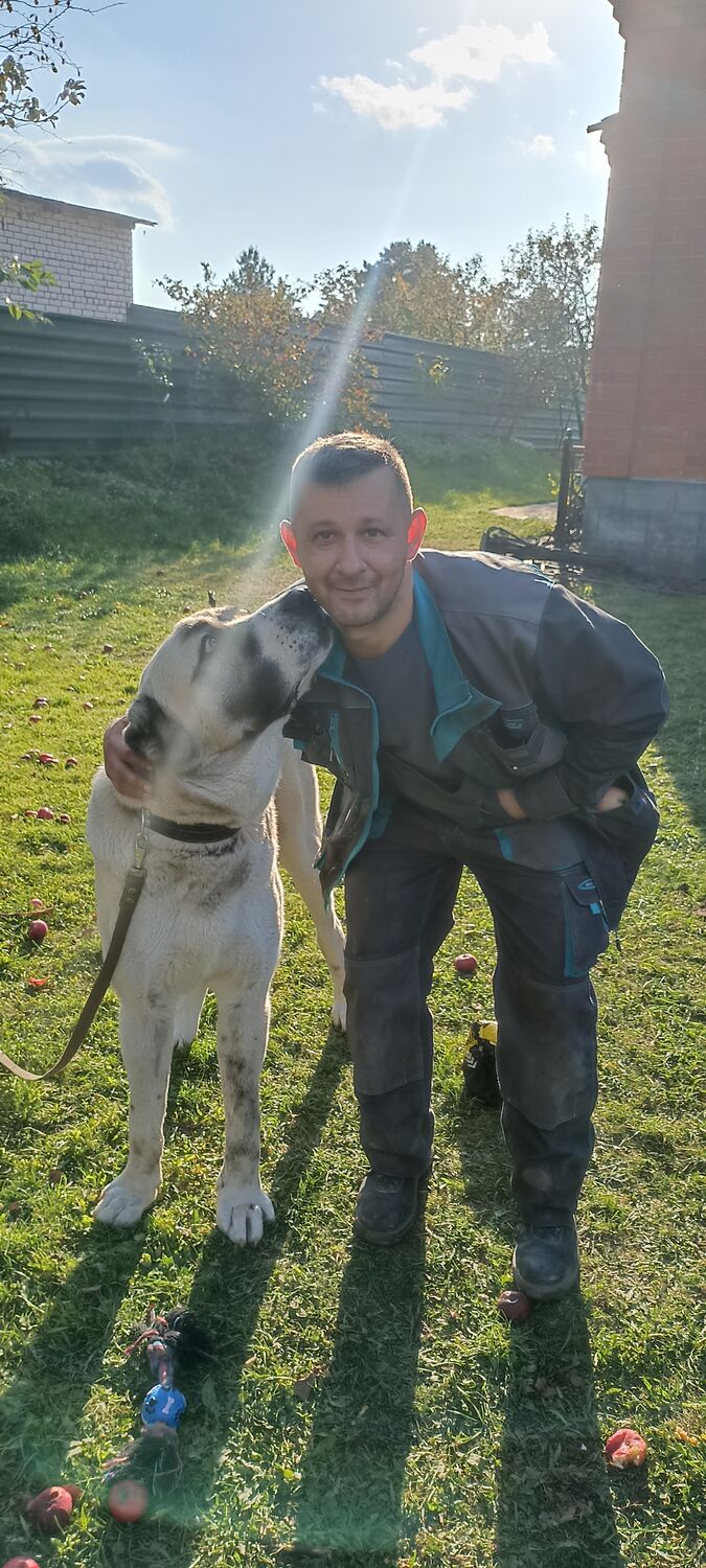  ,   Dmitry, 41 ,   ,   