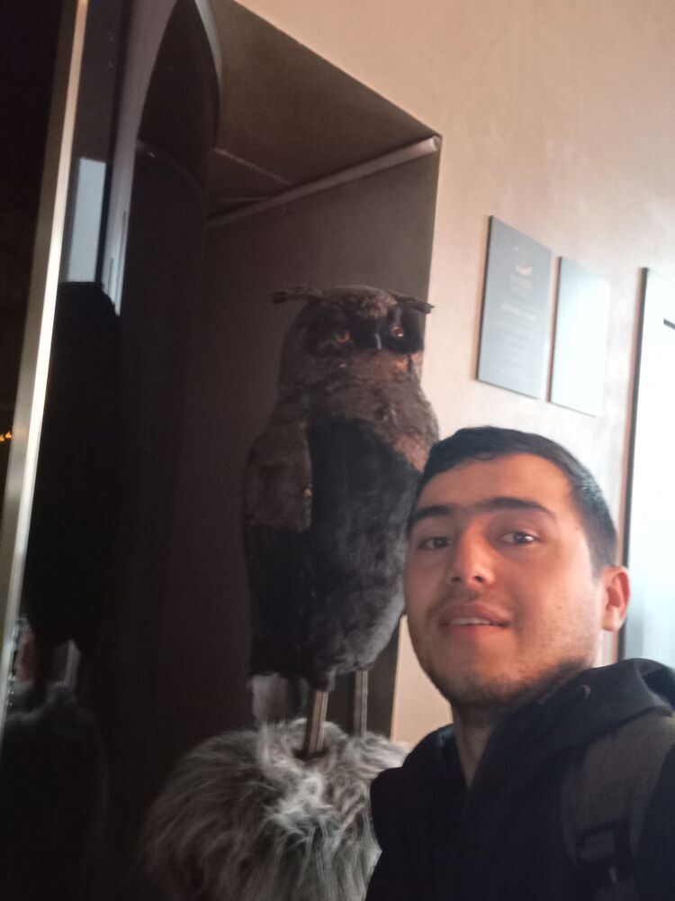 ���� 27884240 ������� �������, 28 ���, ���� ���������� � ������