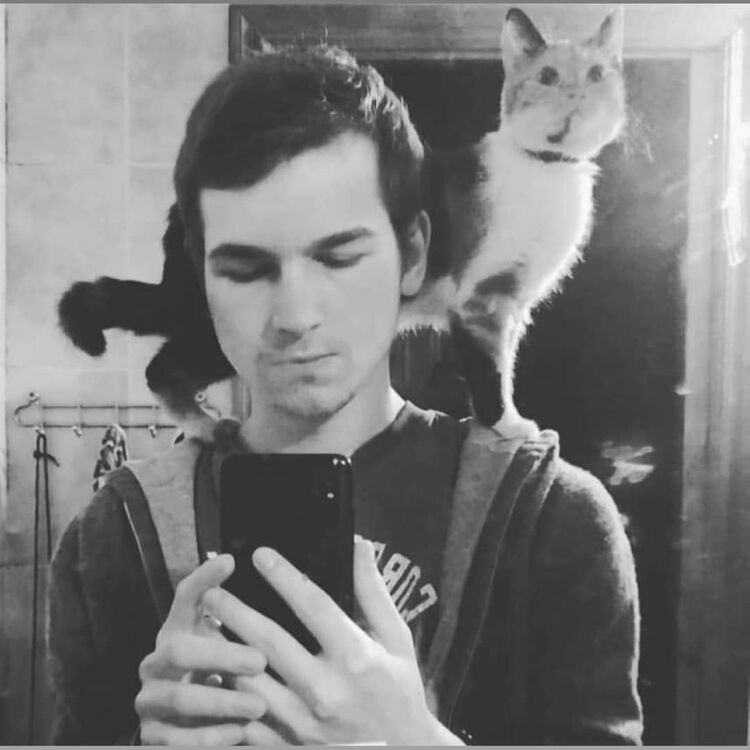 ���� 19856620 ������� ����, 28 ���, ���� ���������� � ��������