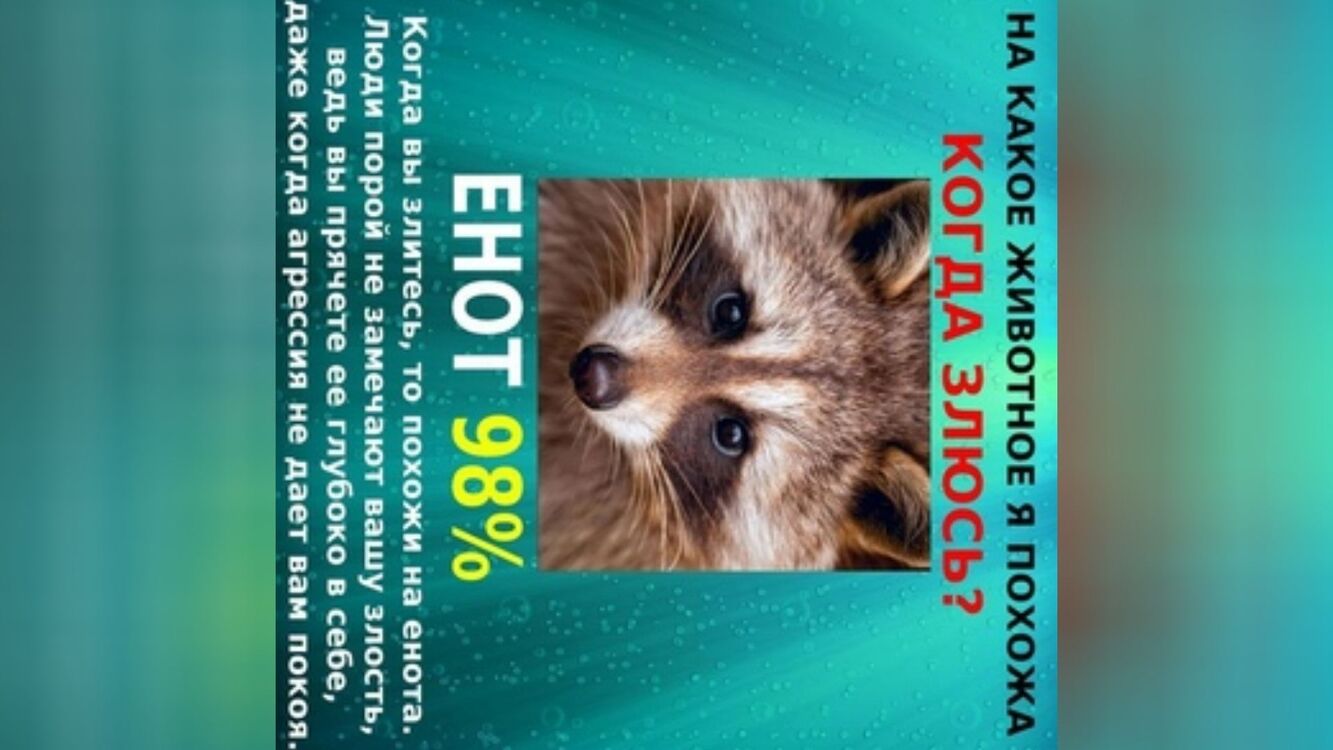 ���� 29967450 ������� ��������, 46 ���, ���� ���������� � �����-����������