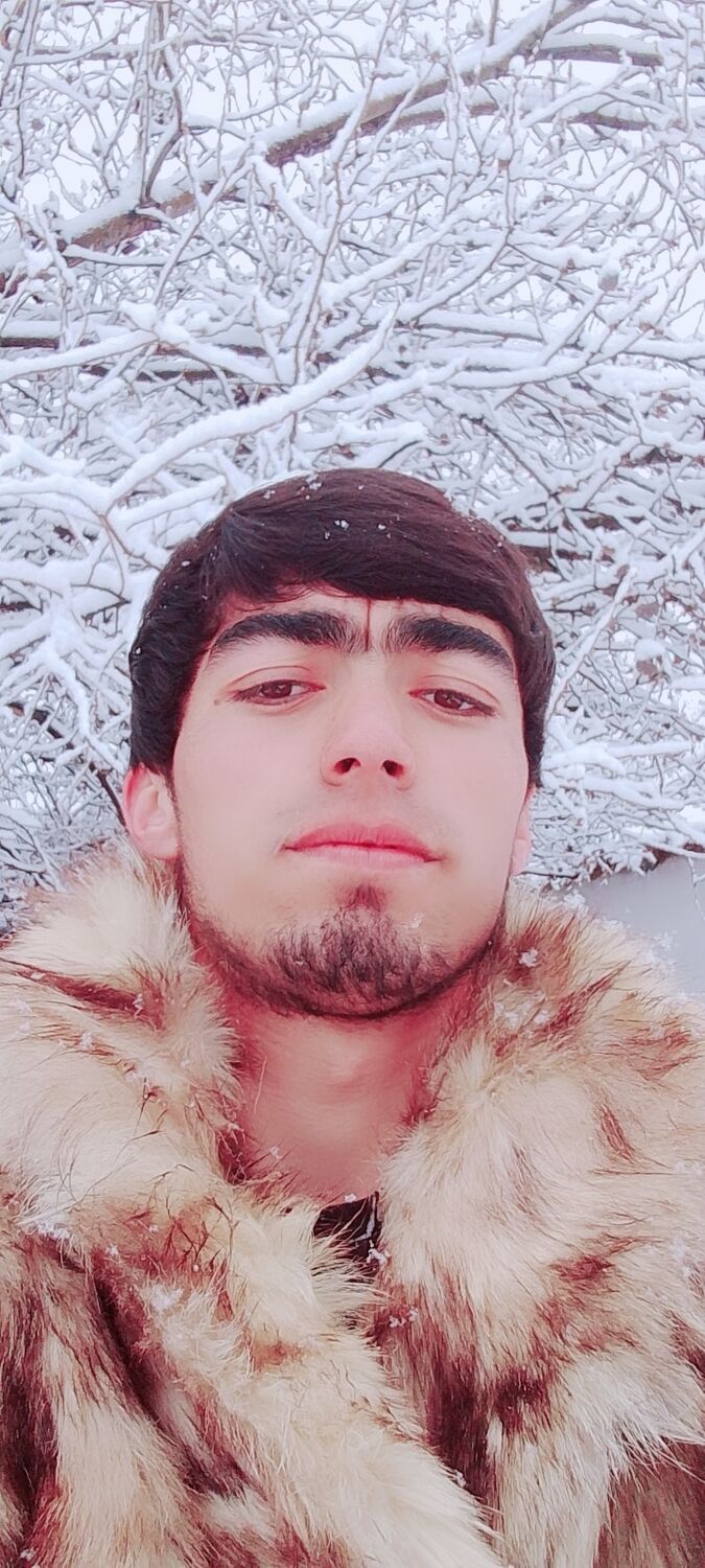  49382790  , 22 ,    