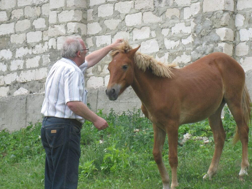 ���������� �������, ���� ������� �����, 69 ���, ������������ ��� ������, ����� � ���������, c�������� ���������