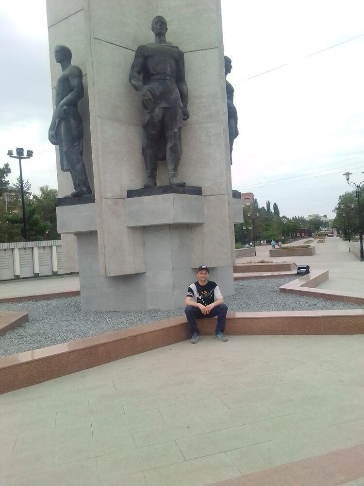 31336690  , 38 ,    