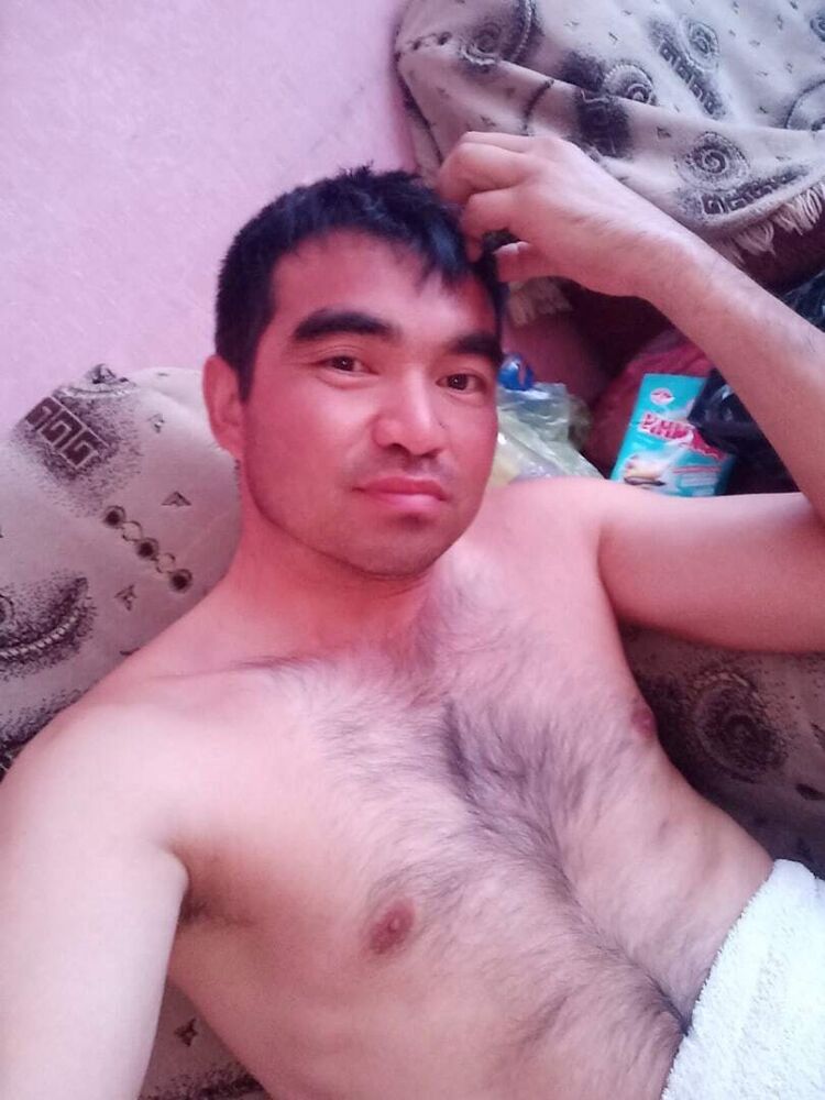  31213380  , 38 ,    