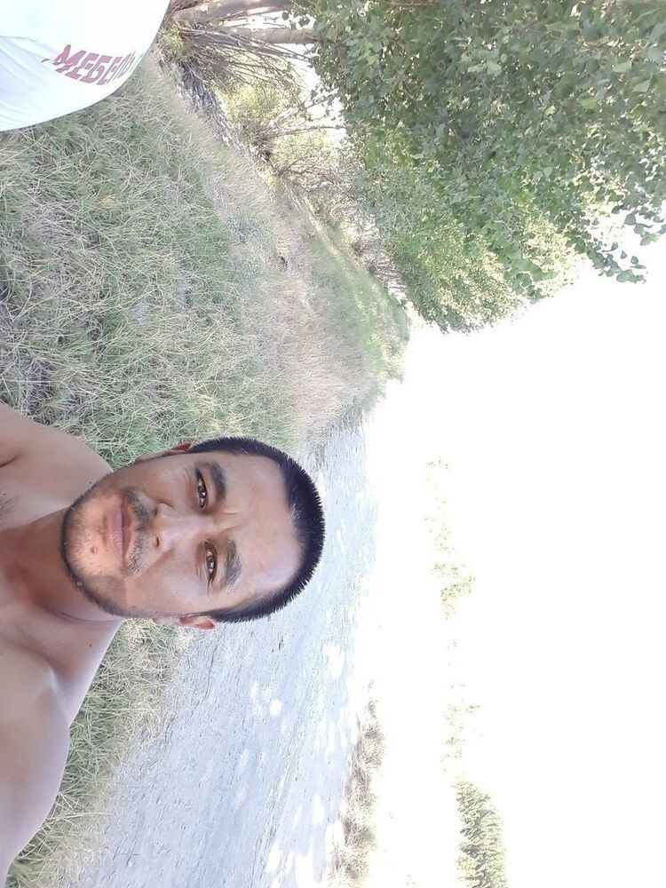  15460630  , 40 ,    