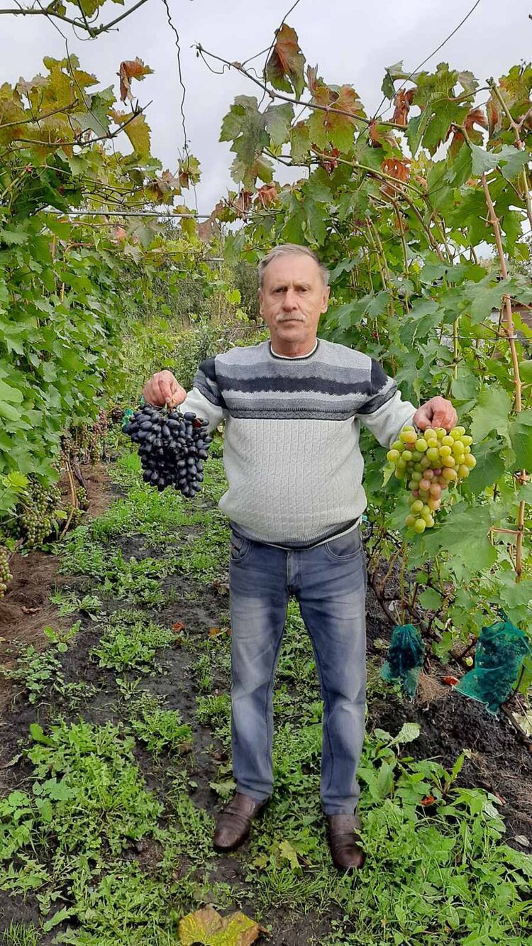 ���������� ����������, ���� ������� ���������, 66 ���, ������������ ��� ������, ����� � ���������