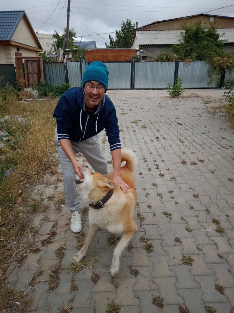 ���� 24534080 ������� Alibek, 38 ���, ���� ���������� � ������