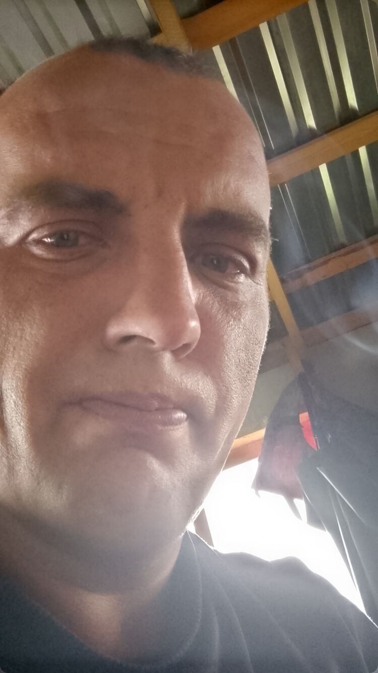  46682360  , 38 ,    