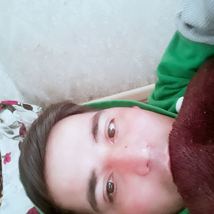  43822930  , 28 ,    