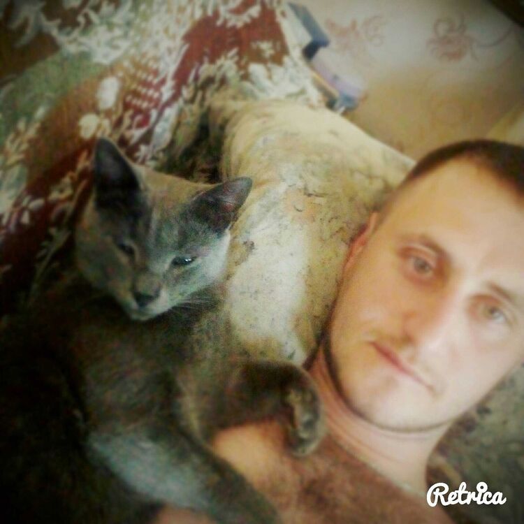 ���� 24424590 ������� �����, 32 ����, ���� ���������� � ������������