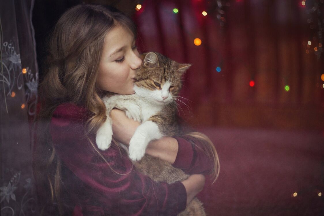 ���� 25661610 ������� ��������, 24 ����, ���� ���������� � �������-��-����