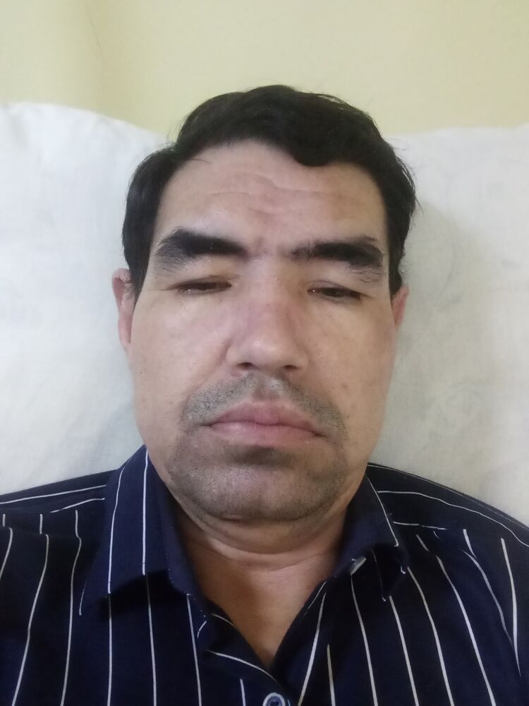  40697110  , 44 ,    