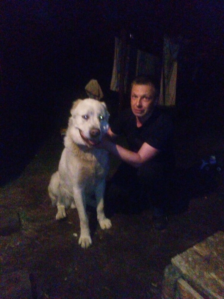 ���� 29962630 ������� ����, 48 ���, ���� ���������� � ������ ���������