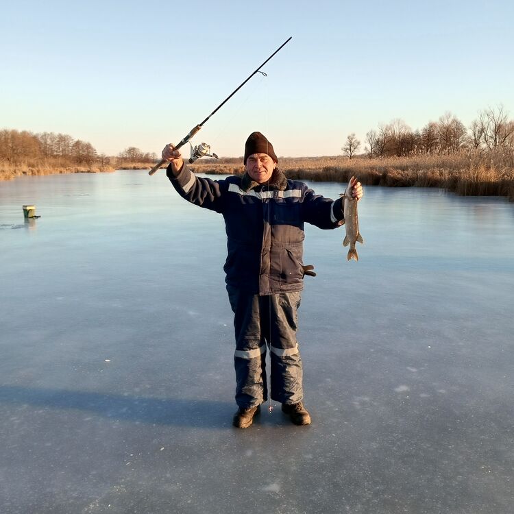 ���� 55325360 ������� ���������, 50 ���, ���� ���������� � ��������