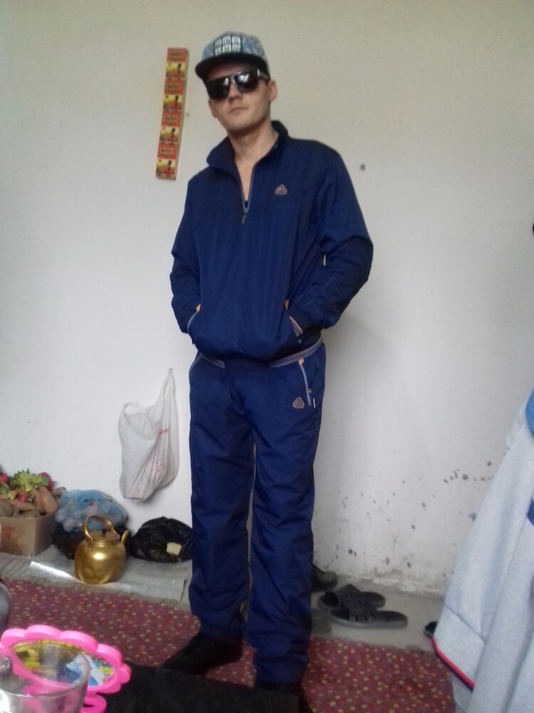  15535660  , 38 ,    