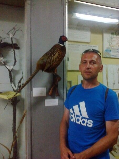 ���� 16917710 ������� ��������, 45 ���, ���� ���������� � �����