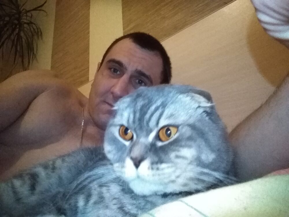  -,   , 36 ,   ,   , c 