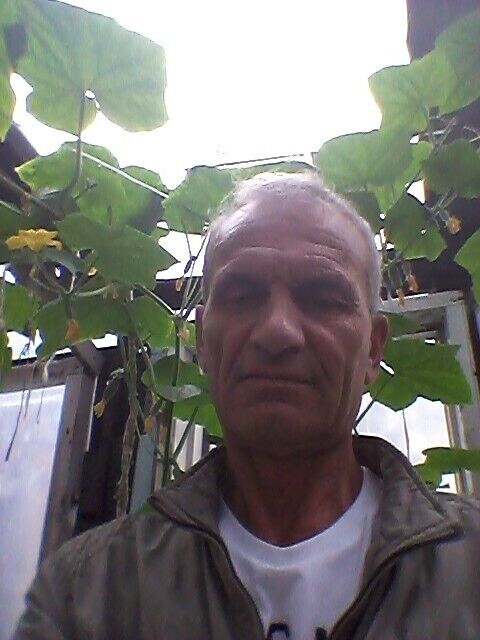  ,   , 71 ,  