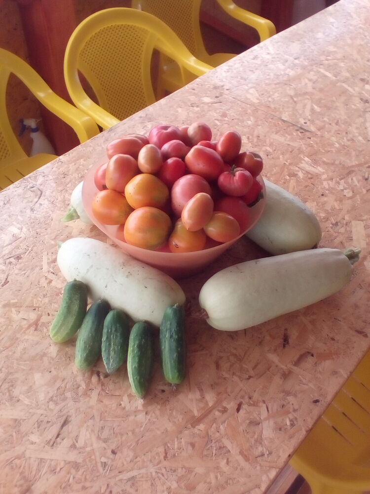 ���� 8053820 ������� �����, 51 ���, ���� ���������� � ����������