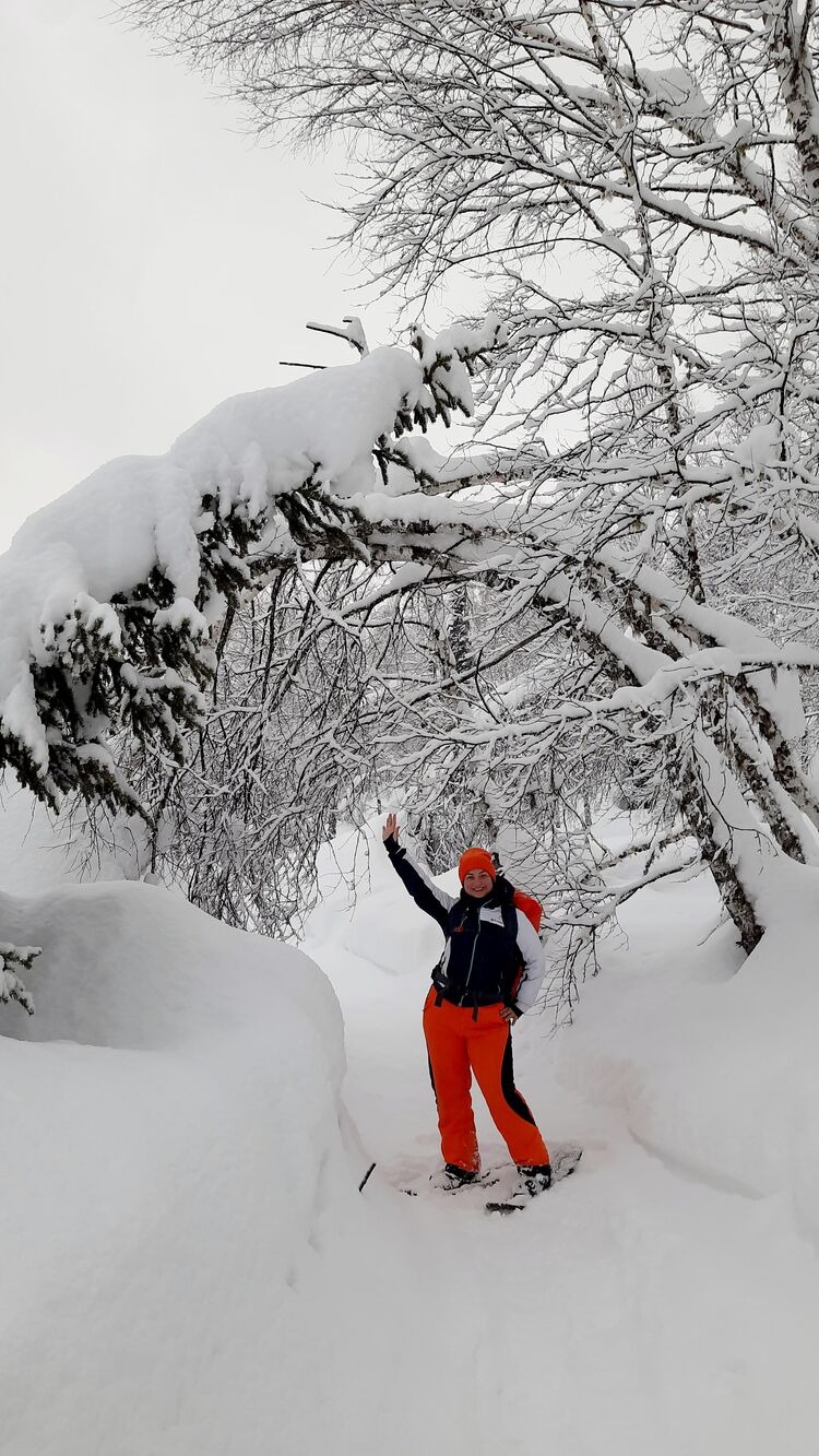 ���������� �����������, ���� ������� �������, 41 ���, ������������ ��� ������, ����� � ���������, c�������� ���������