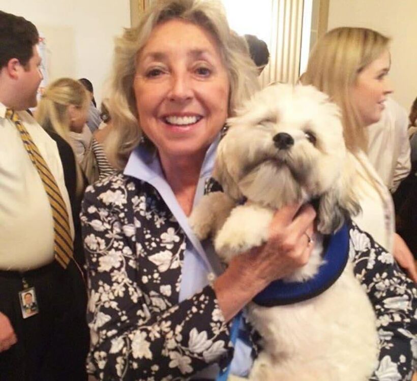 ���������� Wa, ���� ������� Rosine, 47 ���, ������������ ��� ������, ����� � ���������