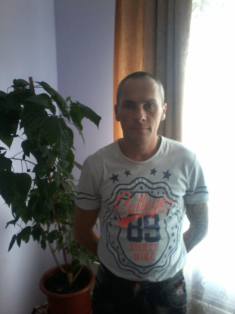  9955190  , 40 ,    