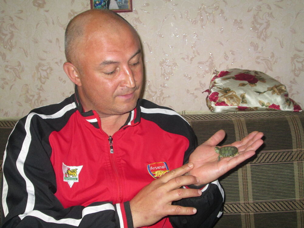  ,   , 52 ,     , c 