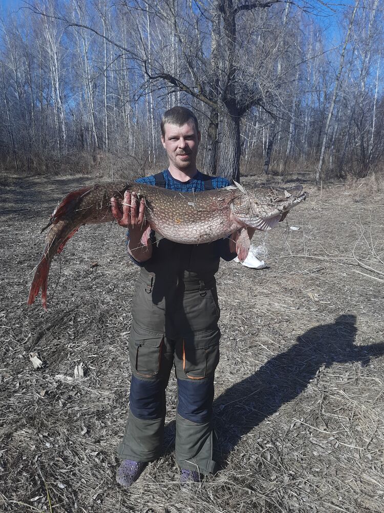 ���� 33165460 ������� ������, 34 ����, ���� ���������� � ��������