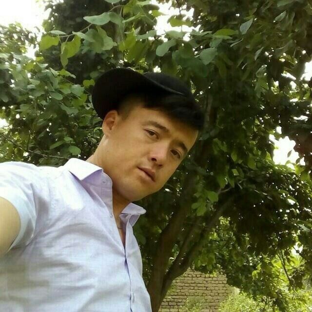  ,   , 31 ,     , c 