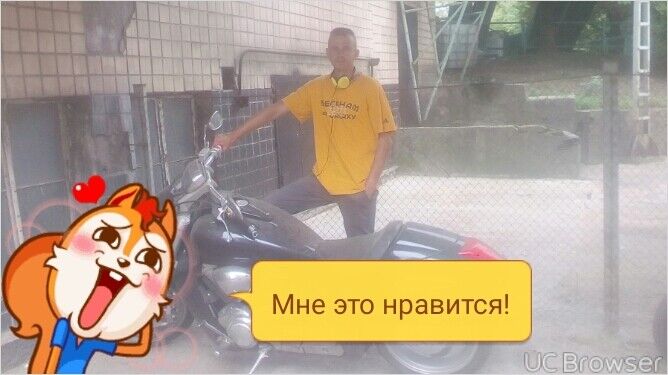 ���������� ����, ���� ������� �����, 33 ����, ������������ ��� ������, ����� � ���������, c�������� ���������