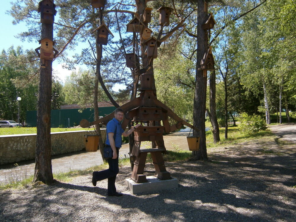 ���������� ����������, ���� ������� �����, 49 ���, ������������ ��� ������