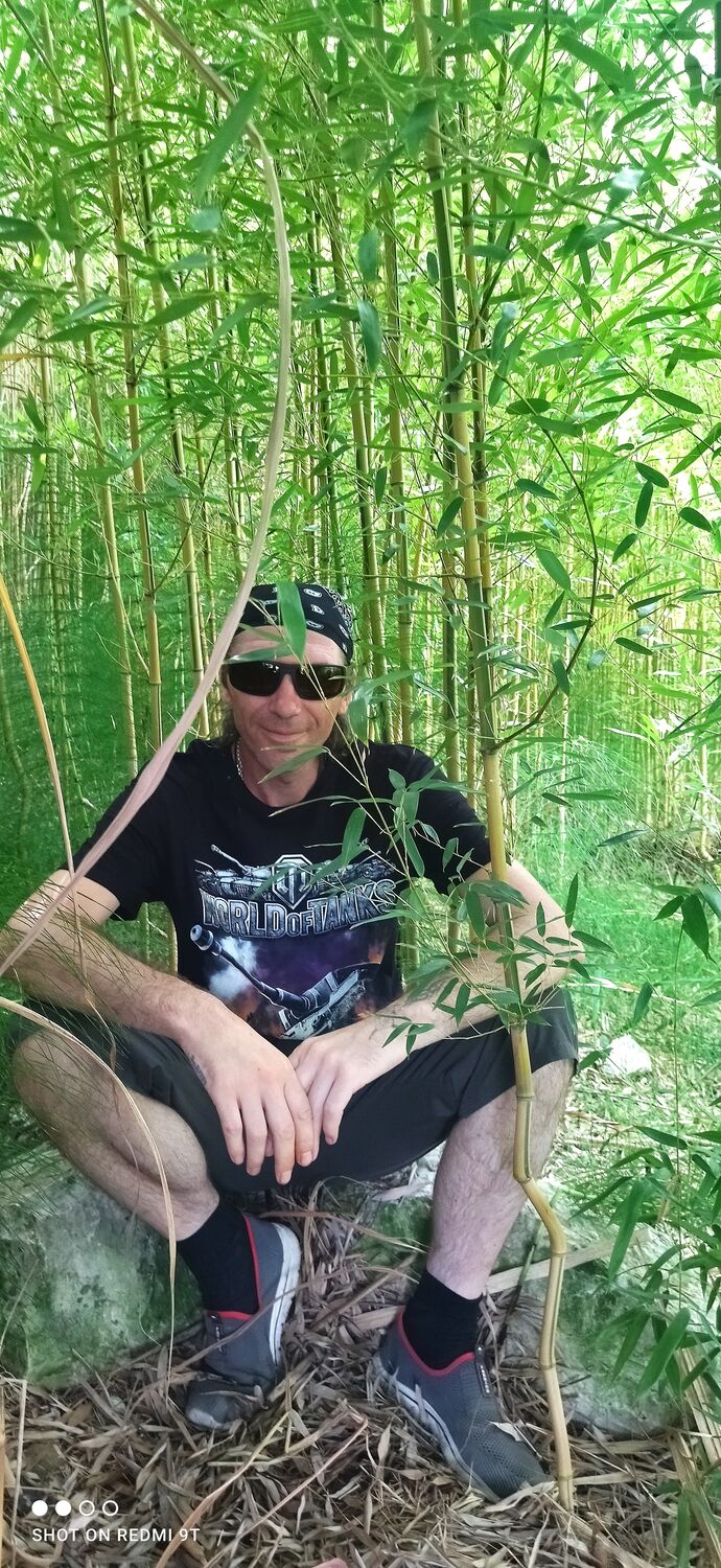 ���� 31681930 ������� ���������, 45 ���, ���� ���������� � �����-����������