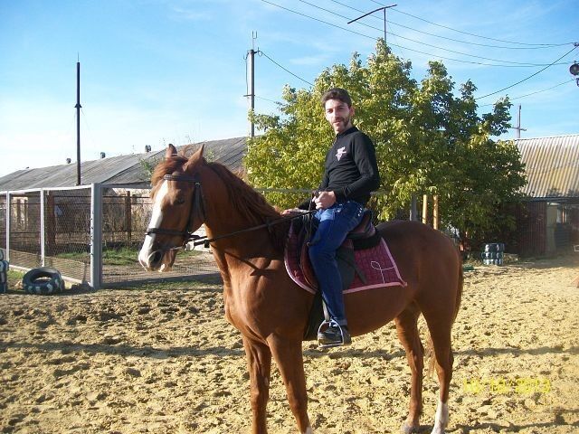 ���� 9591280 ������� �������, 39 ���, ���� ���������� � ������