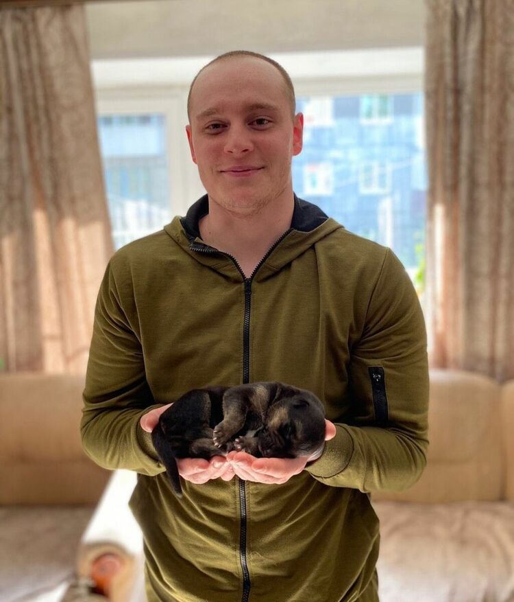 ���������� �������, ���� ������� �����, 31 ���, ������������ ��� ������, ����� � ���������, ���������