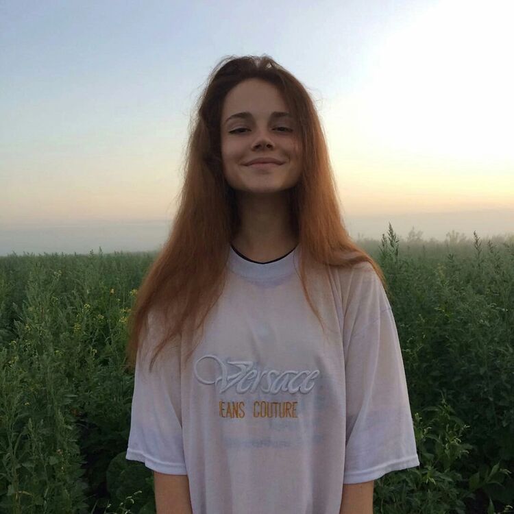  29129700  , 23 ,    
