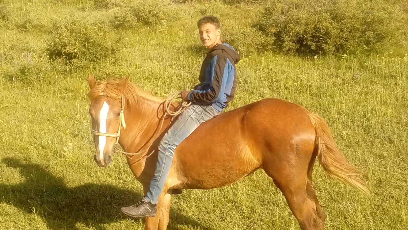 ���������� �����������, ���� ����� �������, 22 ����, ������������ ��� ���������