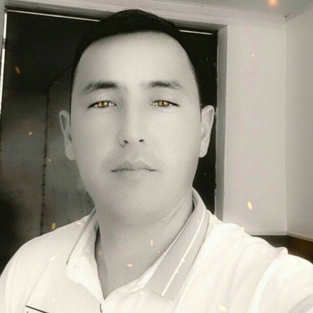  33409080  , 35 ,    
