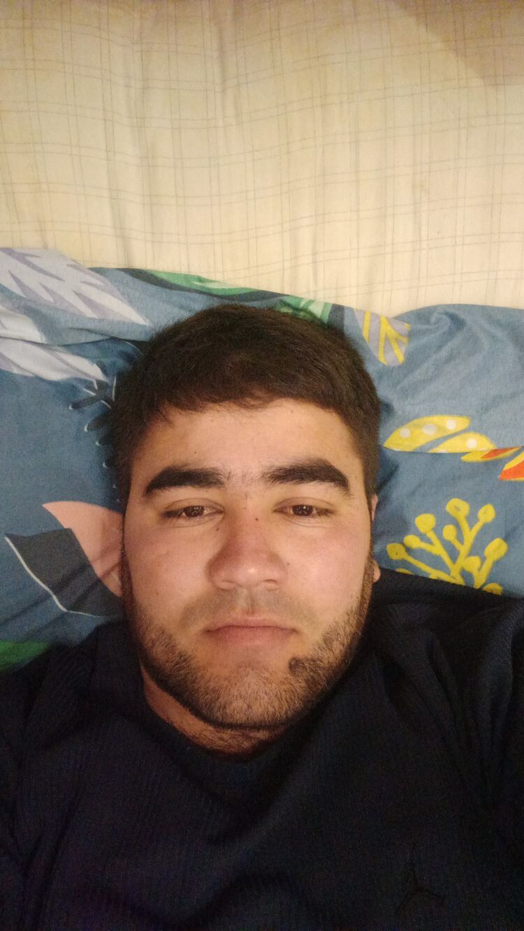  50255580  , 31 ,    