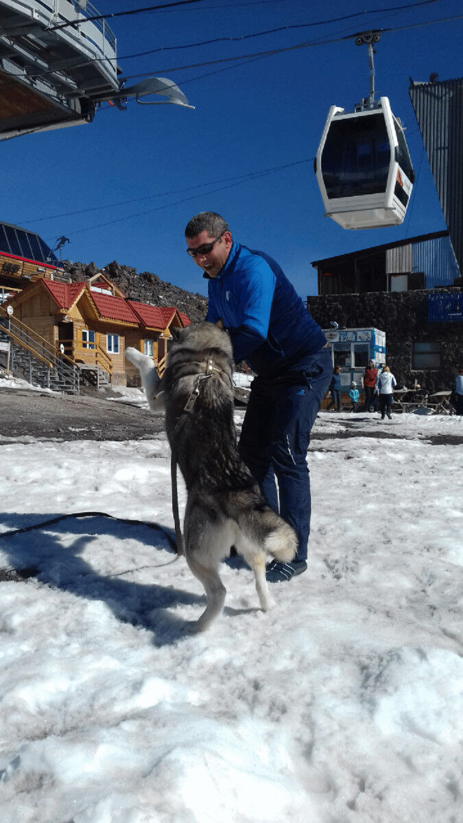  9160990  Vugar, 43 ,    