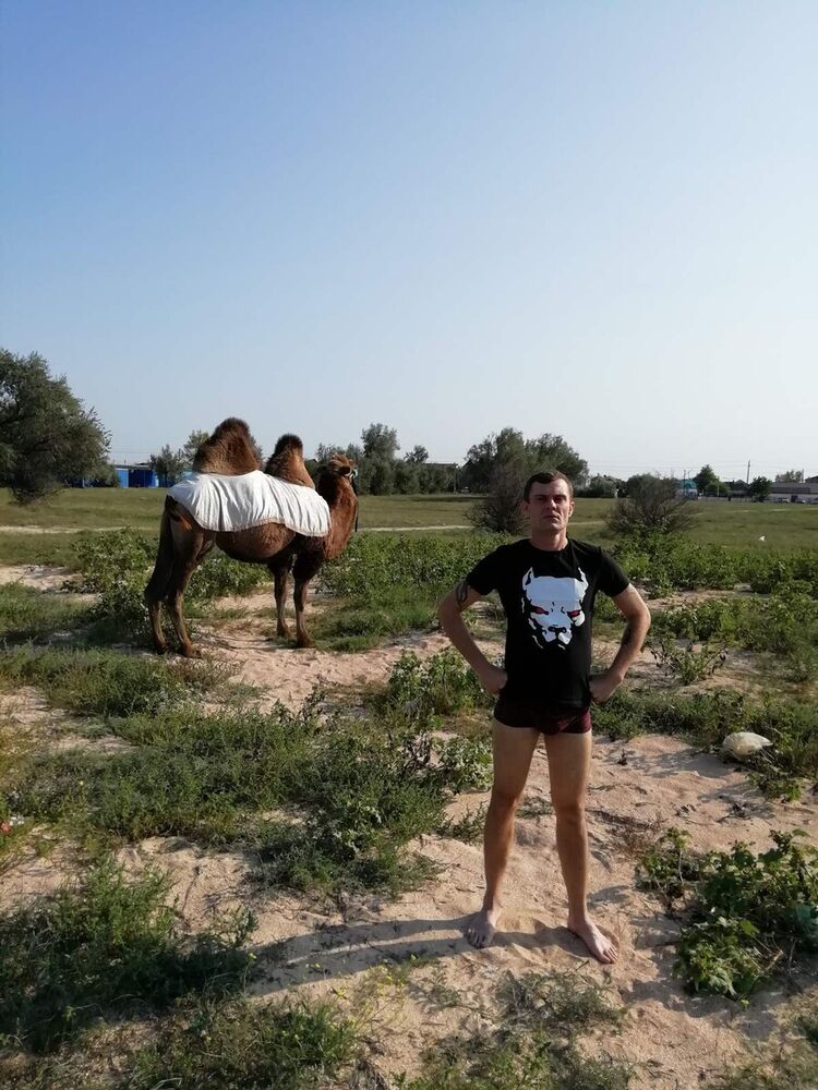  21235580  , 40 ,    