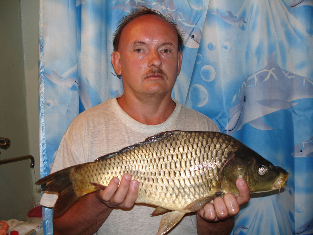 ���� 55974440 ������� ����, 37 ���, ���� ���������� � ������