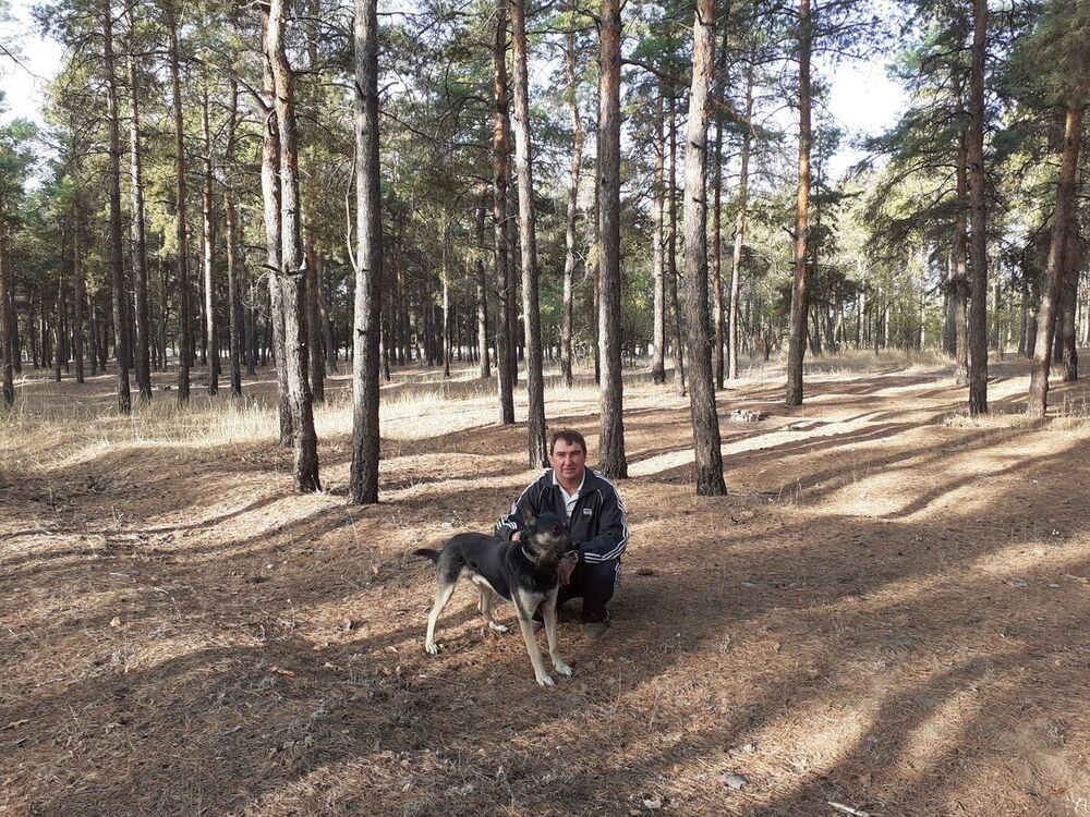 ���� 21246330 ������� ������, 53 ����, ���� ���������� � ����������