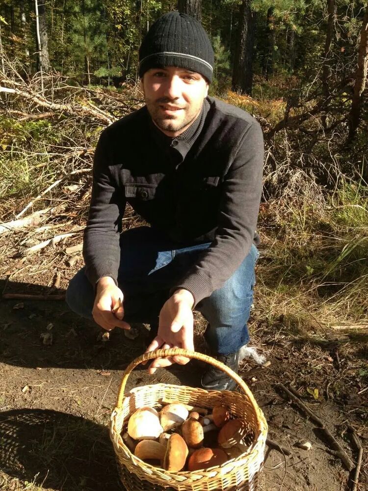  28797200  , 46 ,    -