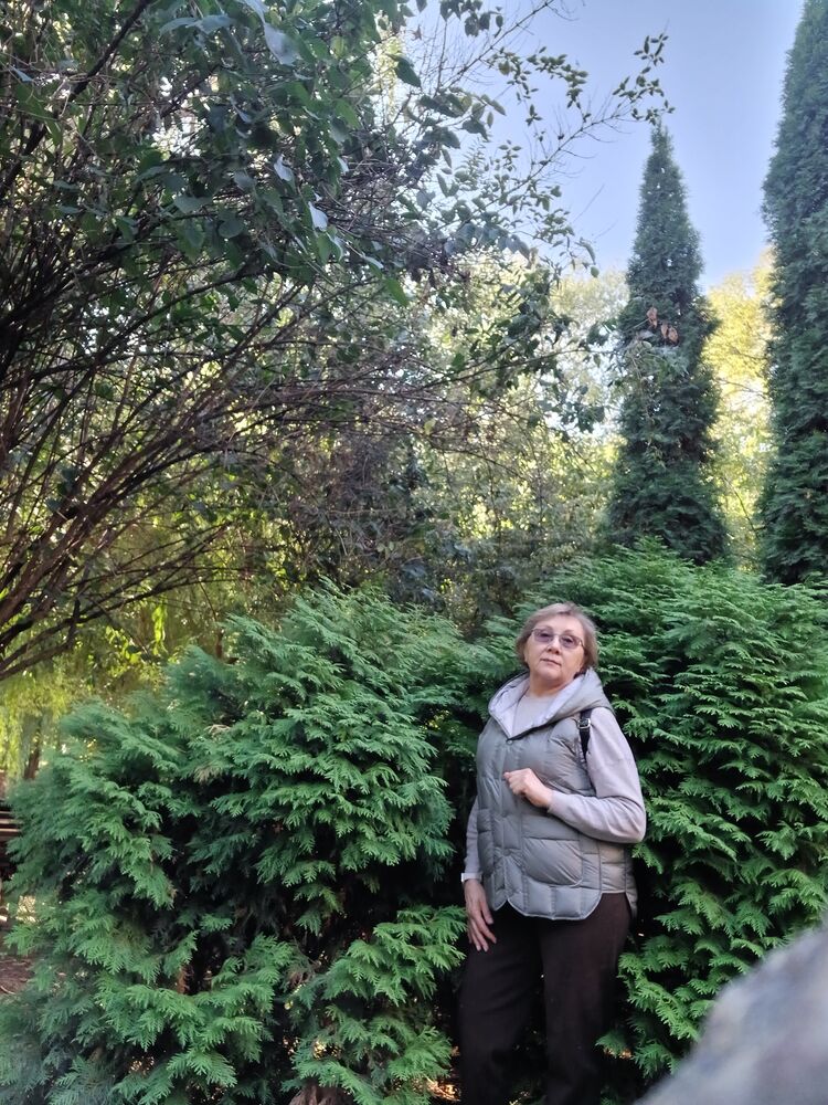 ���������� ������, ���� ������� �����, 65 ���, ������������ ��� ������, ����� � ���������