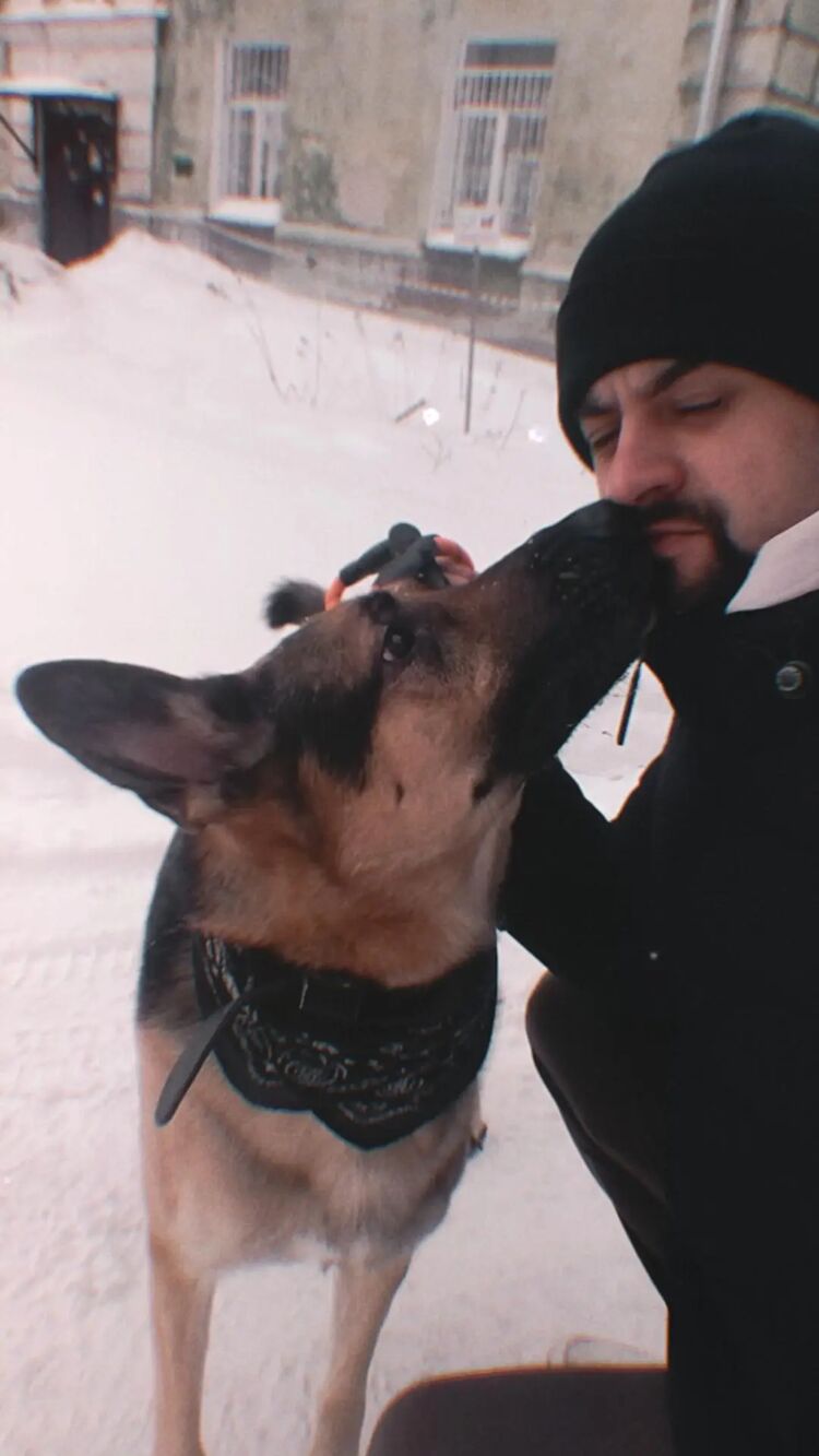 ���������� �����������, ���� ������� ������, 28 ���, ������������ ��� ������, ����� � ���������, c�������� ���������, ���������