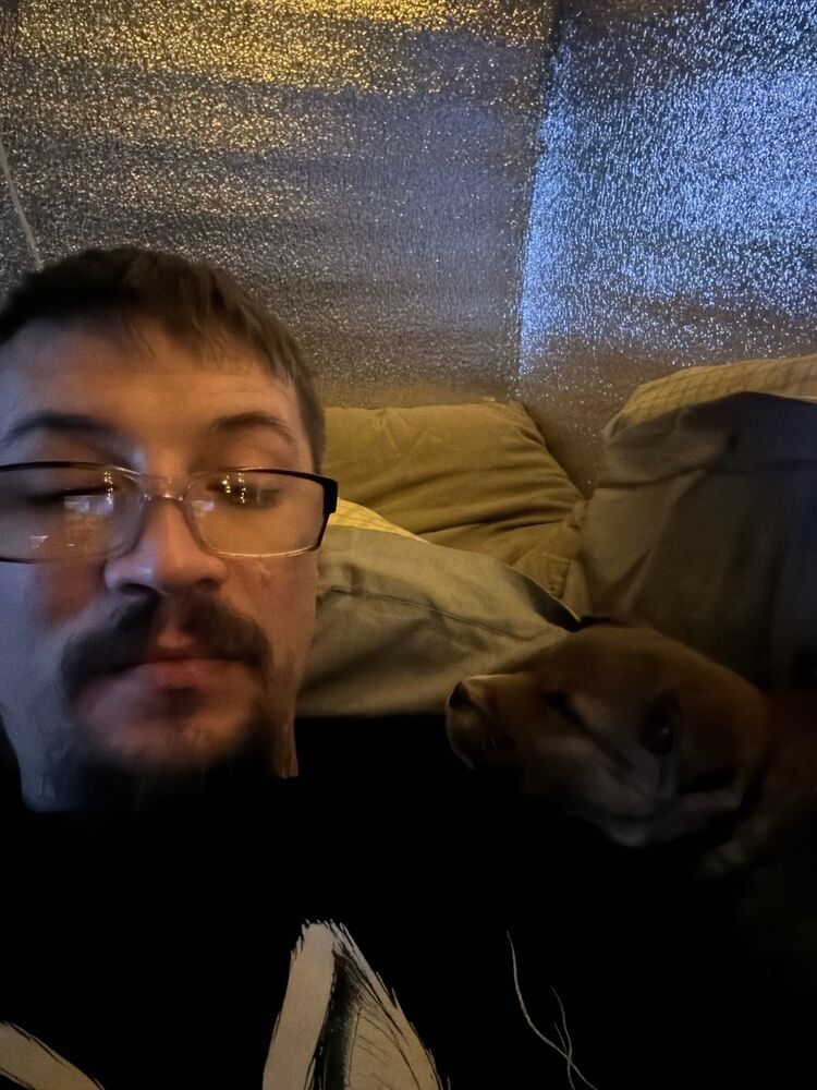 ���������� ������, ���� ������� ����, 38 ���, ������������ ��� ������, ����� � ���������