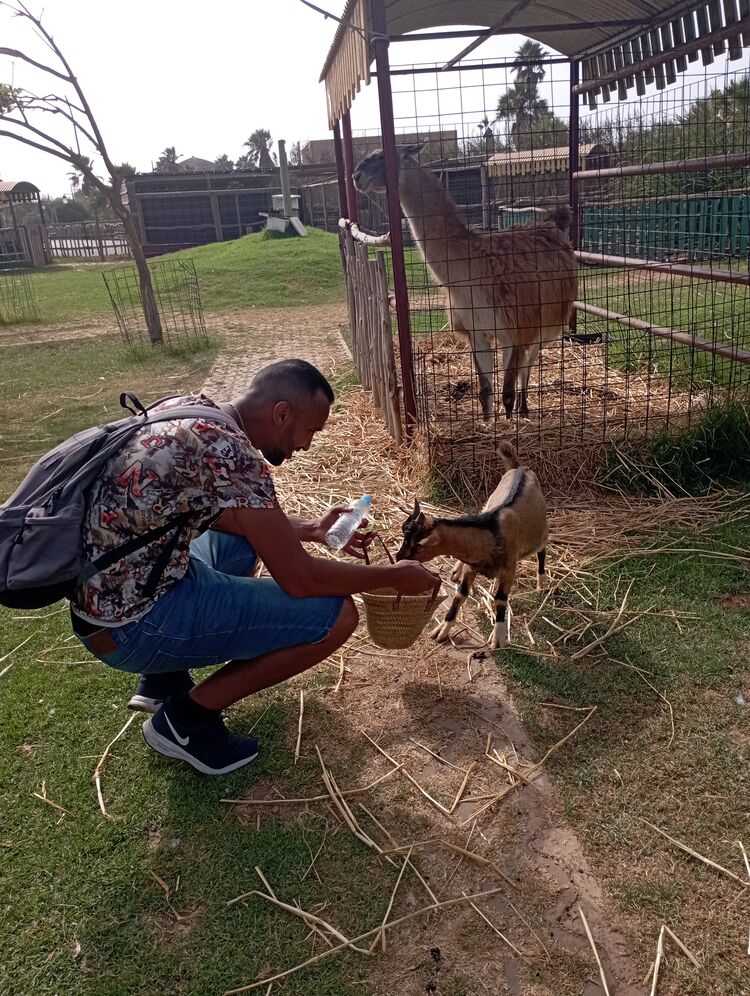 ���������� �����, ���� ������� Mester Brown, 34 ����, ������������ ��� ������, ����� � ���������, c�������� ���������, ���������