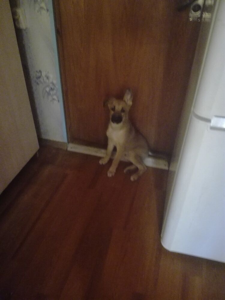 ���� 18917950 ������� �����, 50 ���, ���� ���������� � �����-����������